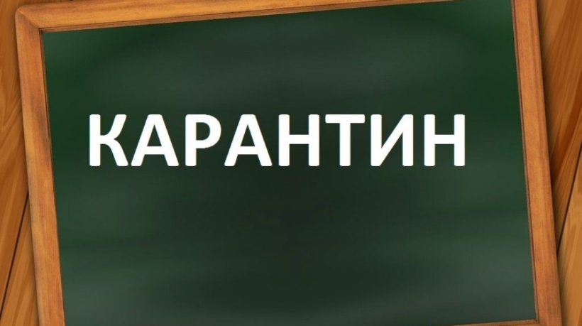 Карантин