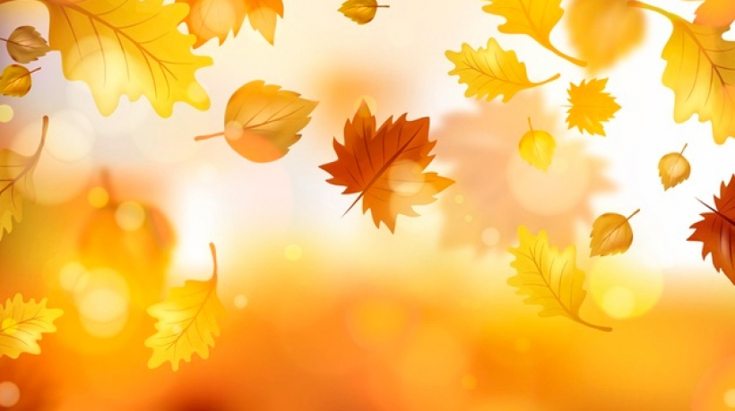 realistic-autumn-leaves-background_52683-43835